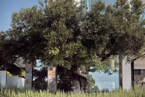 Amazing and Unique Seafront Mansion in Halkidiki 25