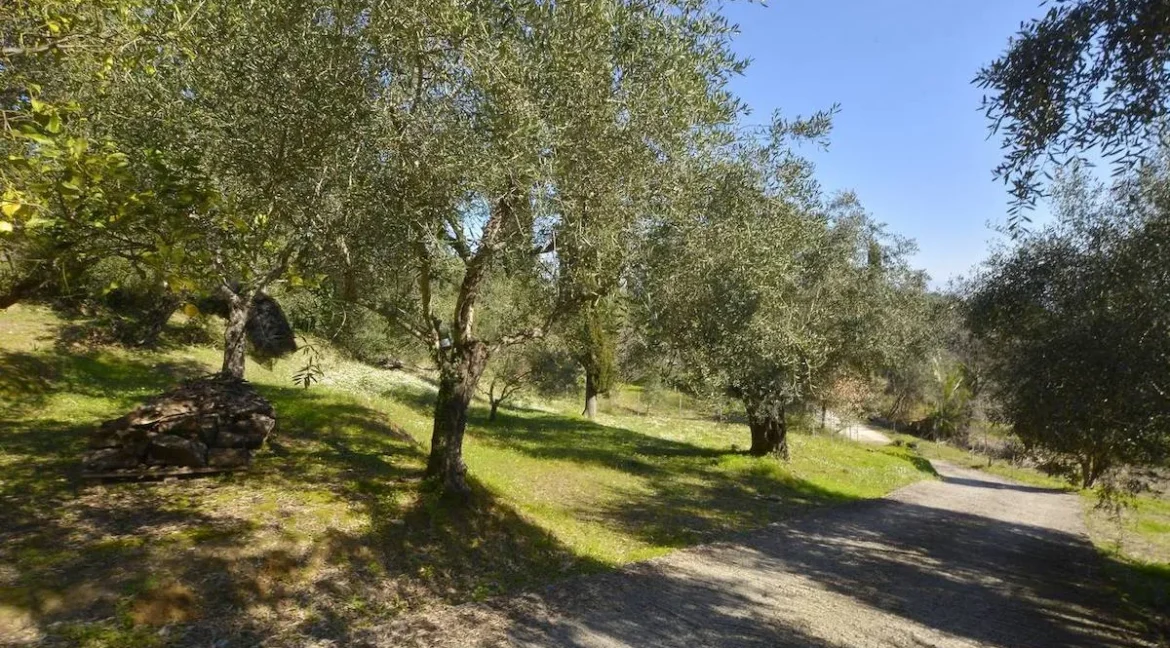 House for sale Central Corfu 4