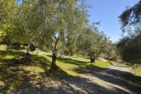 House for sale Central Corfu 4