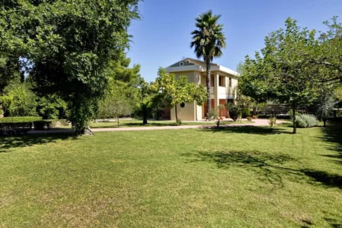 Villa for sale in Agios Prokopis Corfu 27