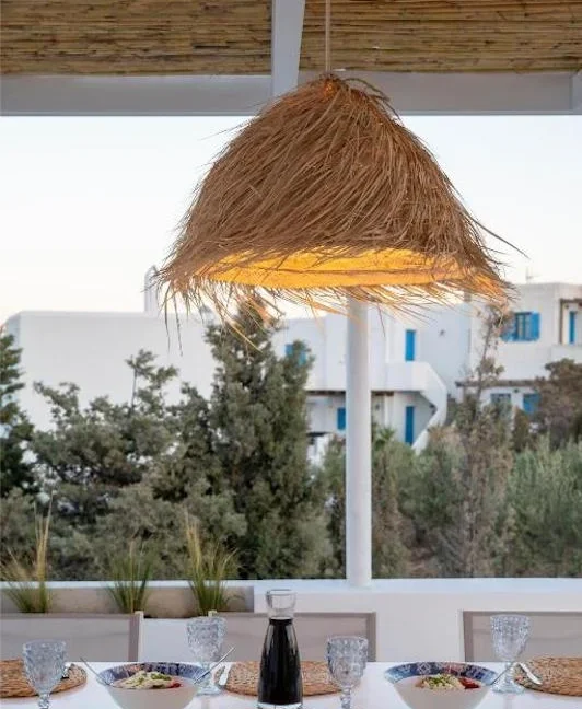 Villa for sale in Paros 14