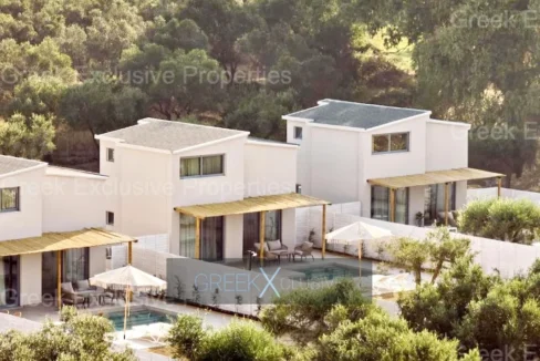 Complex of 4 Villas for Sale in Zakynthos, Vasilikos 1