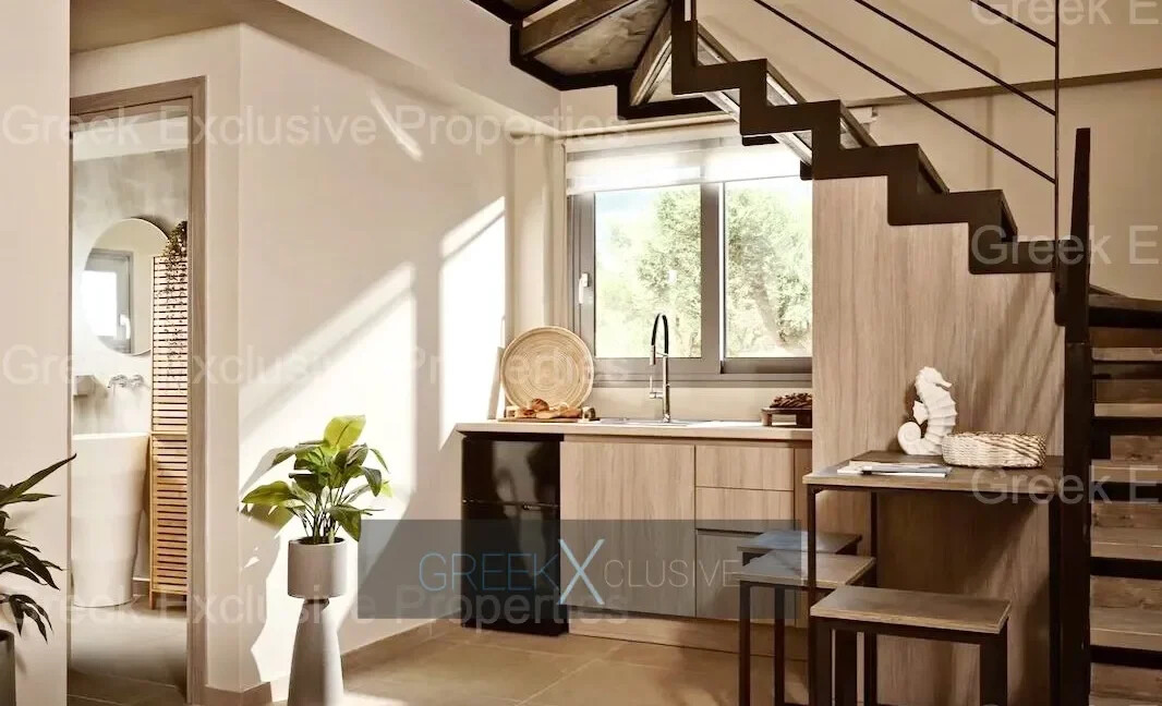 Complex of 4 Villas for Sale in Zakynthos, Vasilikos 11