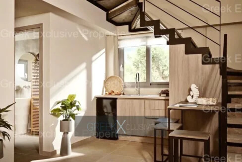 Complex of 4 Villas for Sale in Zakynthos, Vasilikos 11