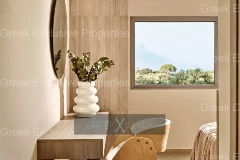 Complex of 4 Villas for Sale in Zakynthos, Vasilikos 5