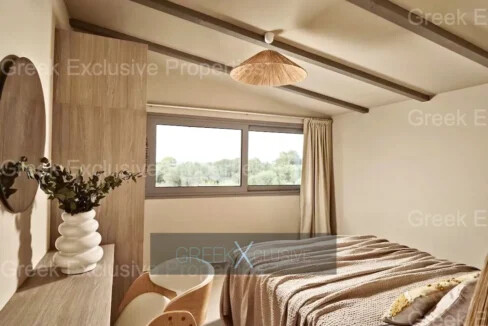 Complex of 4 Villas for Sale in Zakynthos, Vasilikos 9