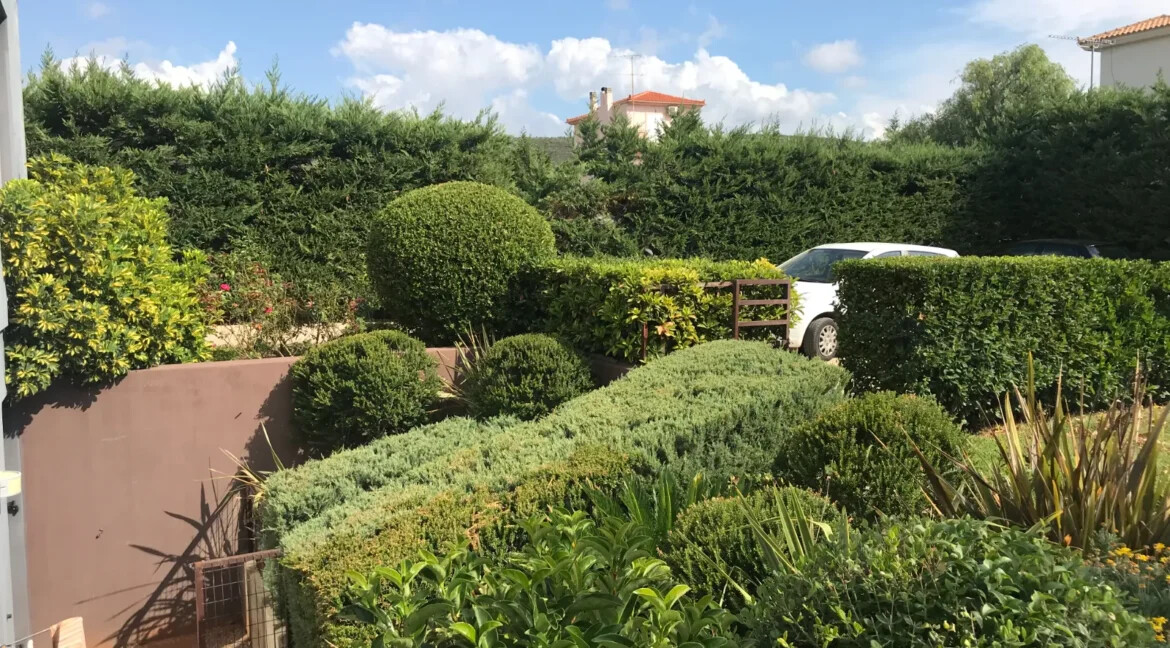 House for Sale Marathon Attica, Agios Panteleimonas 11