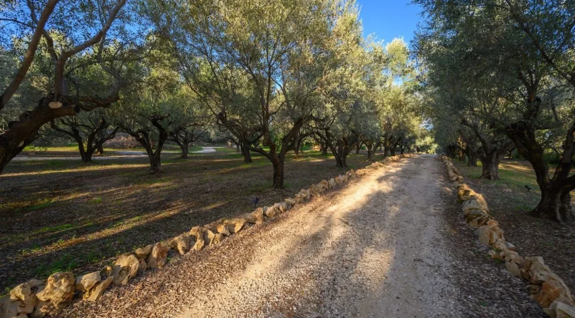 Luxury Property for Sale Pylos Messenia Greece 18