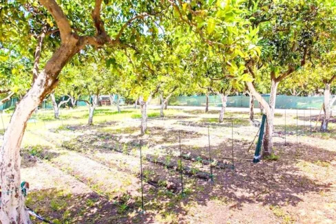 Luxurious Eco-Tourist and Agro-Tourist Villa for Sale in Crete, Greece 12