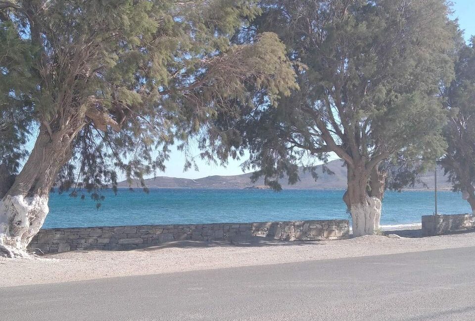 2 Seaside plots for sale Karystos