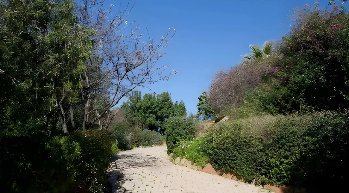 Cape Sounio Villa For Sale Attica 12