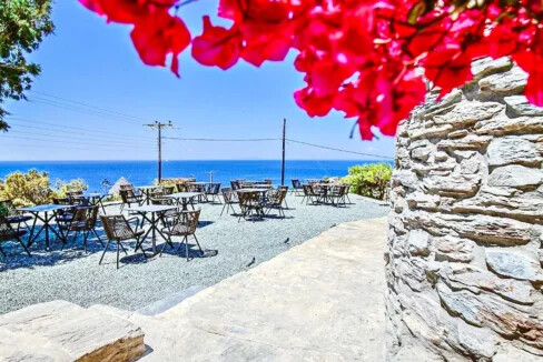 Exceptional Villas for Sale in Kea 29