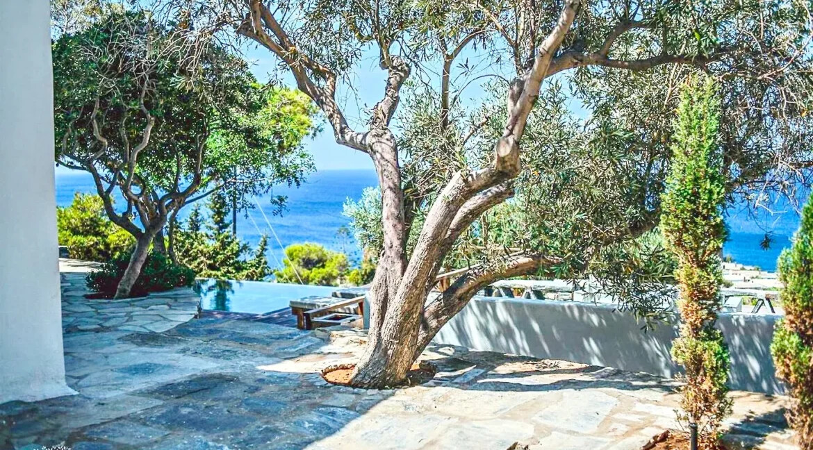 Exceptional Villas for Sale in Kea 42