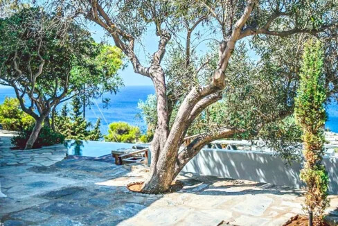 Exceptional Villas for Sale in Kea 42