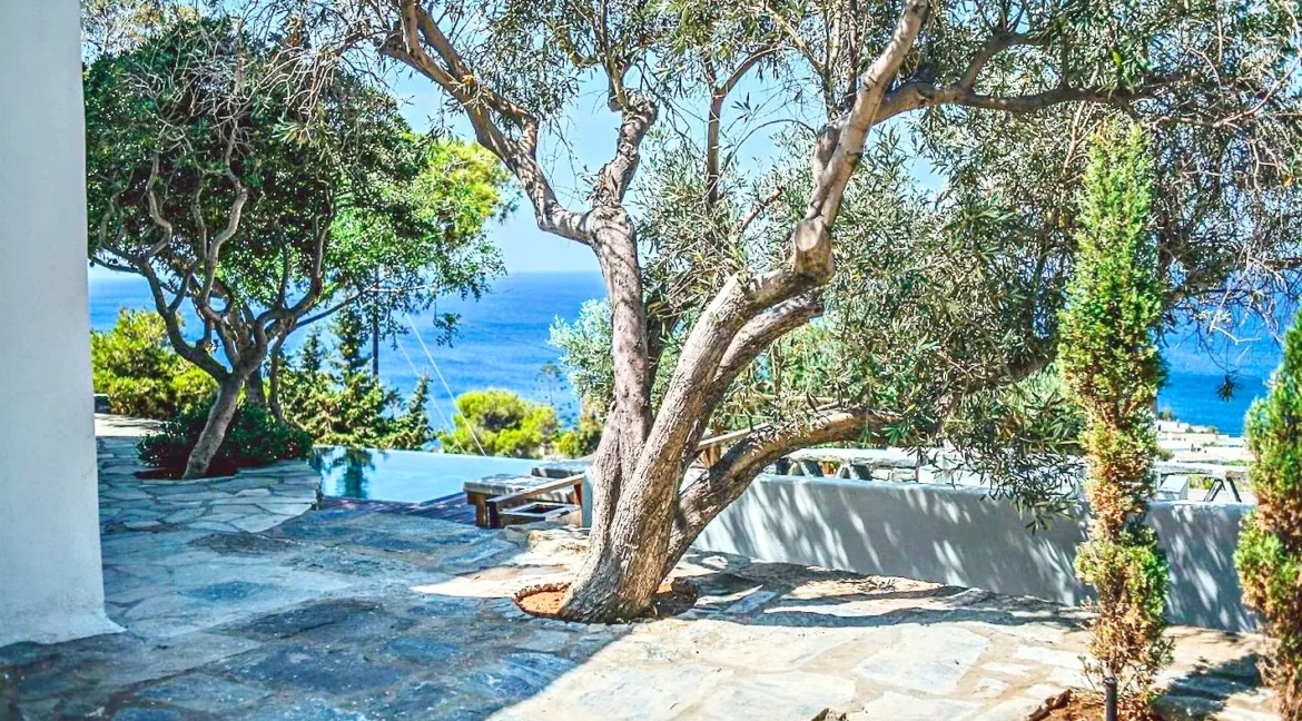 Exceptional Villas for Sale in Kea 48