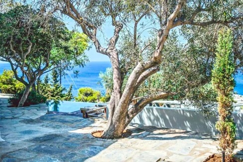 Exceptional Villas for Sale in Kea 48