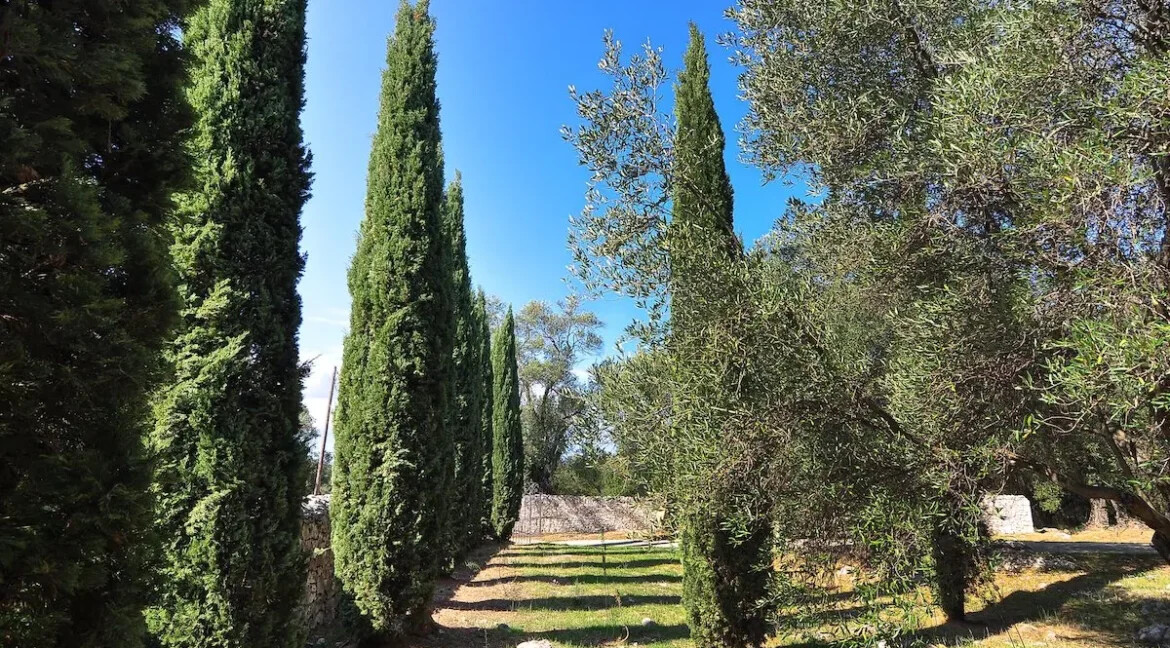 Luxury Seafront Estate in Corfu for sale 5