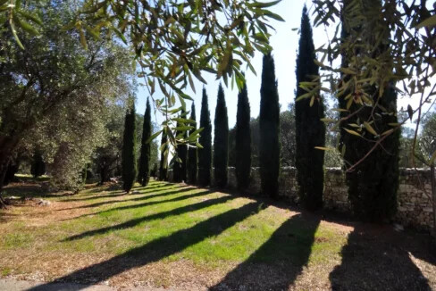 Luxury Seafront Estate in Corfu for sale 6