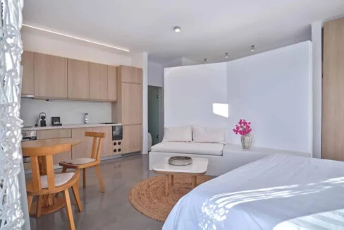 Luxury Villas Santorini for sale9