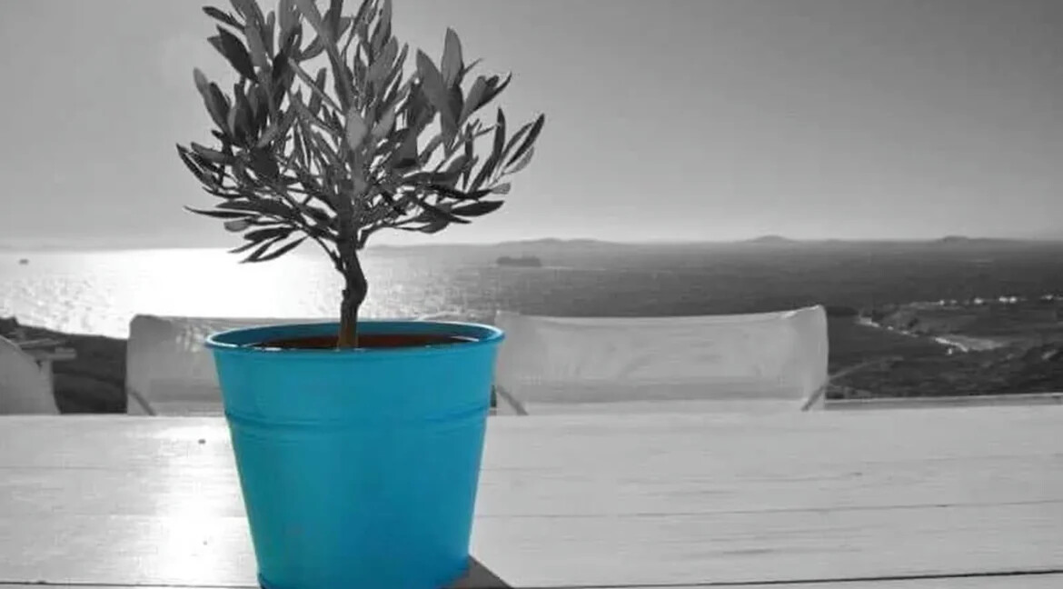 Villa for Sale In Mykonos, Agios Stefanos 13