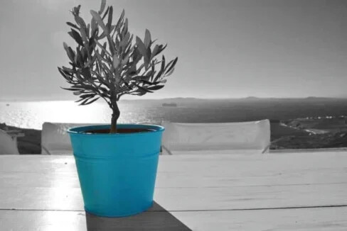 Villa for Sale In Mykonos, Agios Stefanos 13