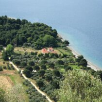 5 Beach Suites at Evia for sale