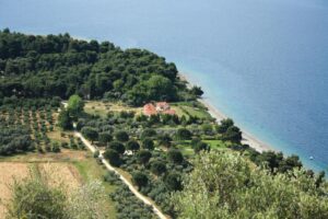 5 Beach Suites at Evia for sale
