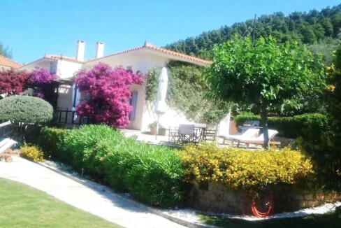 3 Luxury Villas for sale at Skopelos island, Magnificent Seaview 1