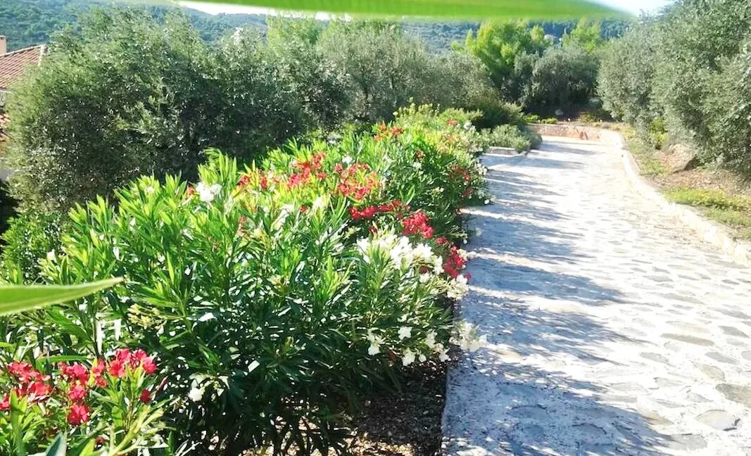 3 Luxury Villas for sale at Skopelos island, Magnificent Seaview 16