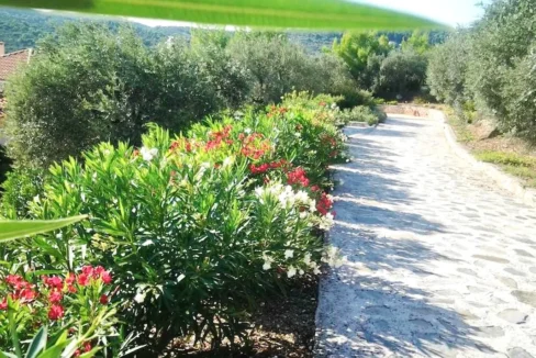 3 Luxury Villas for sale at Skopelos island,  Magnificent Seaview 16