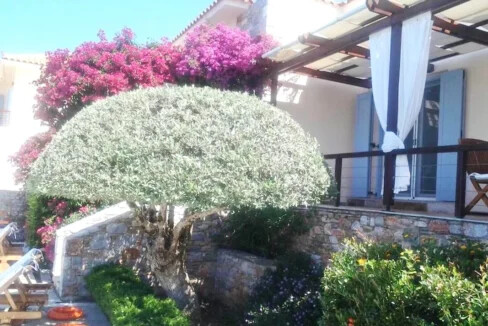 3 Luxury Villas for sale at Skopelos island, Magnificent Seaview 17