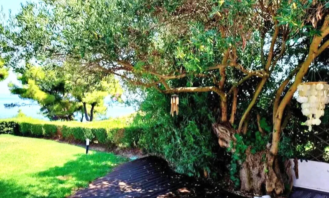 Fantastic Sea View House for sale in Halkidiki Afytos 15