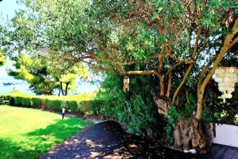 Fantastic Sea View House for sale in Halkidiki Afytos 15