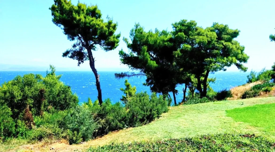 Fantastic Sea View House for sale in Halkidiki Afytos 20