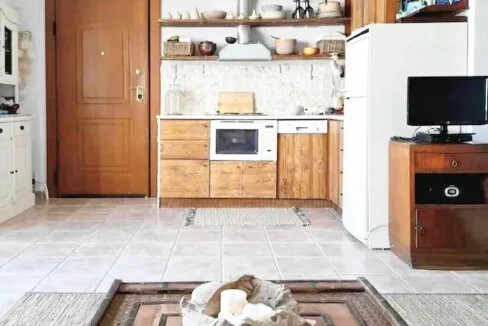 Fantastic Sea View House for sale in Halkidiki Afytos 9