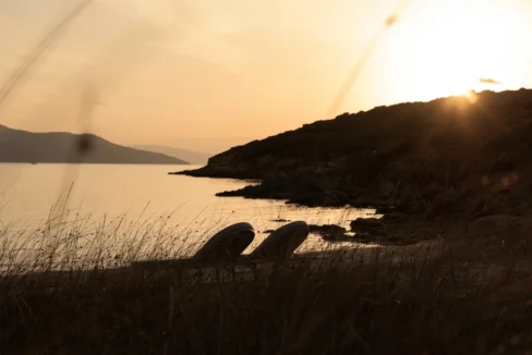 Seafront property in Karystos, Evia 7