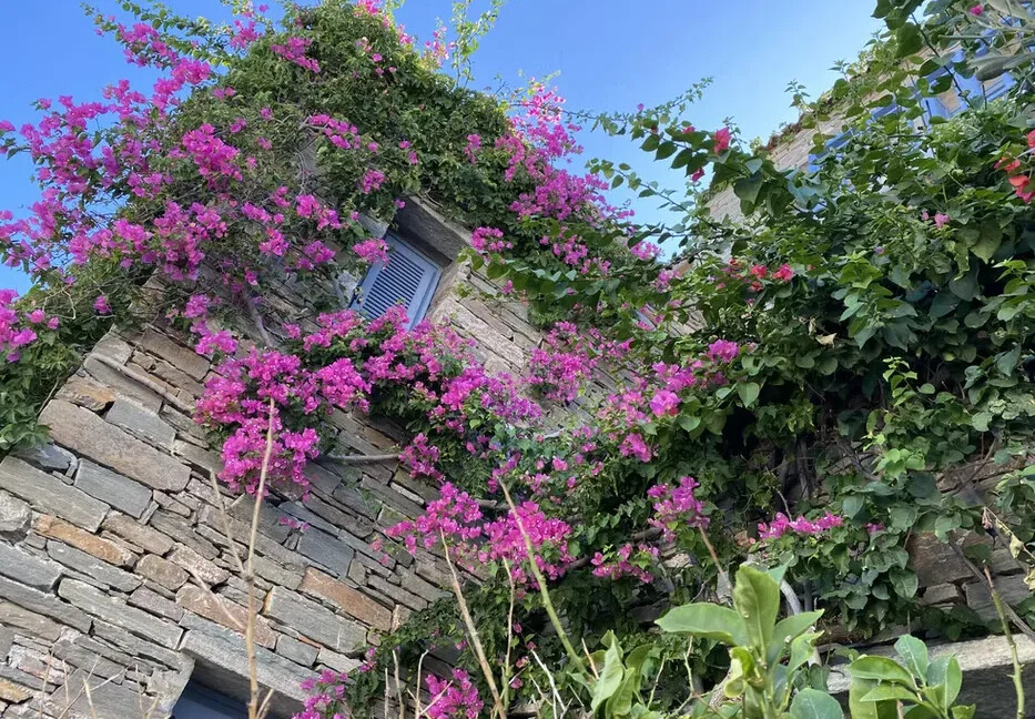 Villa for Sale in Kea Greece 2