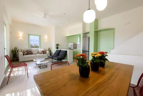 Villas with Private Pools for Sale Naxos Mikri Vigla 11