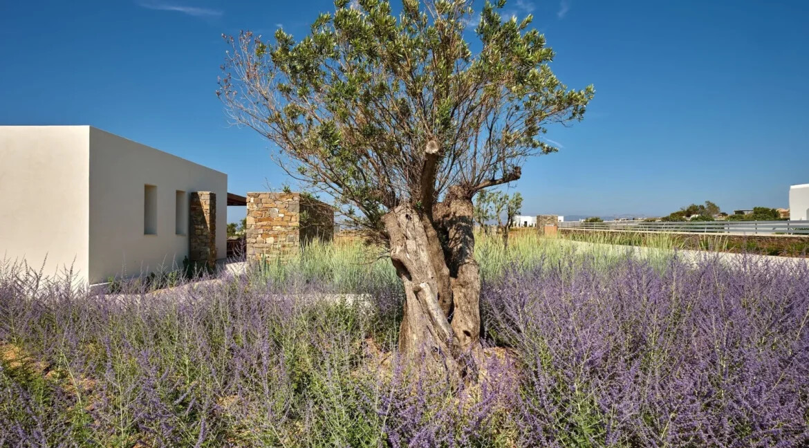 Villa With Tennis Court for Sale in Paros Greece 20