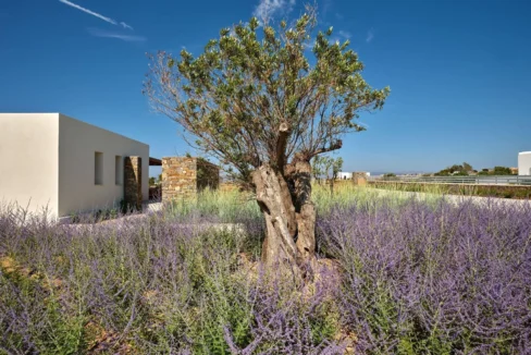 Villa With Tennis Court for Sale in Paros Greece 20