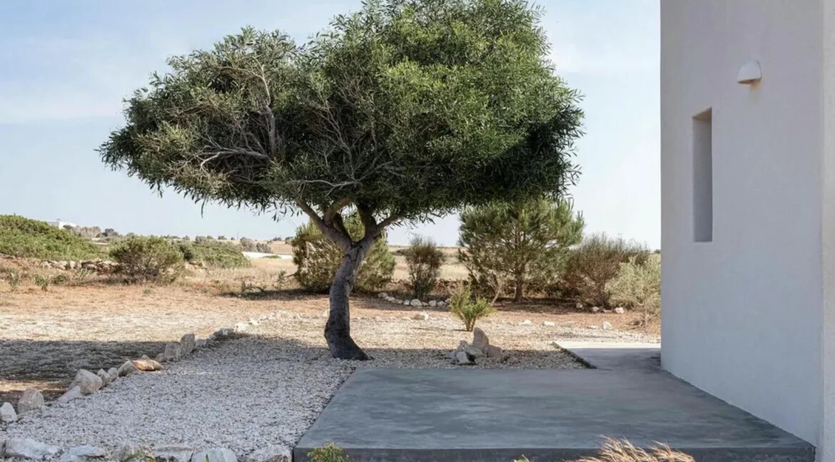 Villa for Sale Pounta Paros Cyclades Greece 13