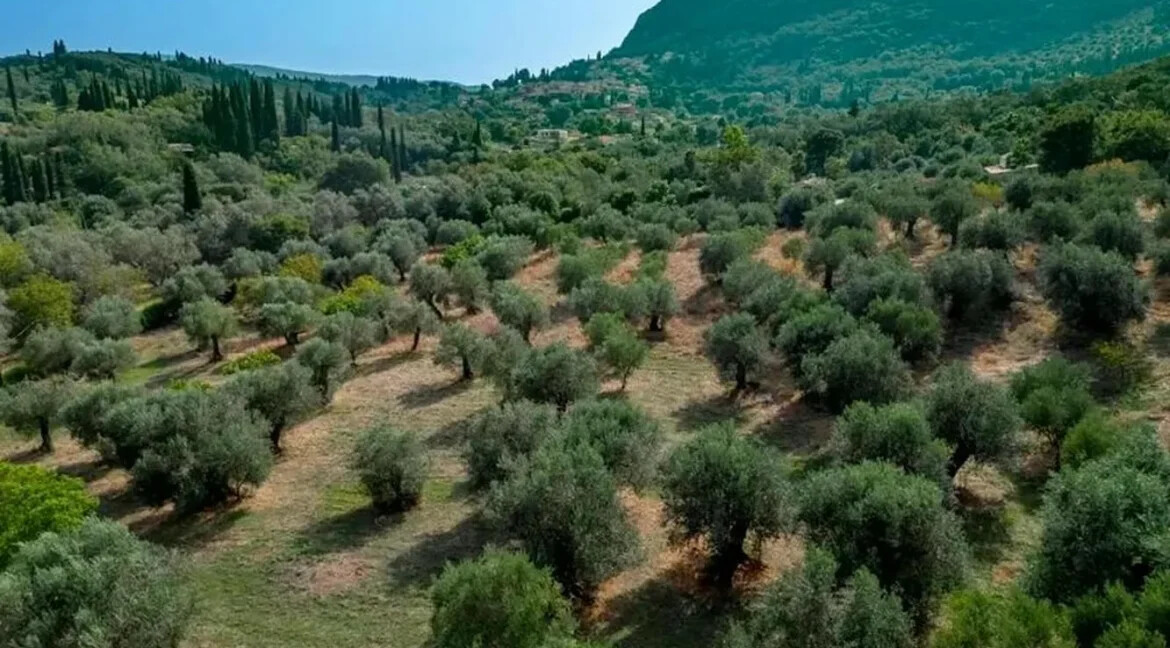 Villa with Big Land Plot for Sale at Corfu Greece 8