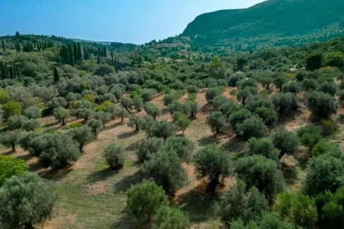 Villa with Big Land Plot for Sale at Corfu Greece 8