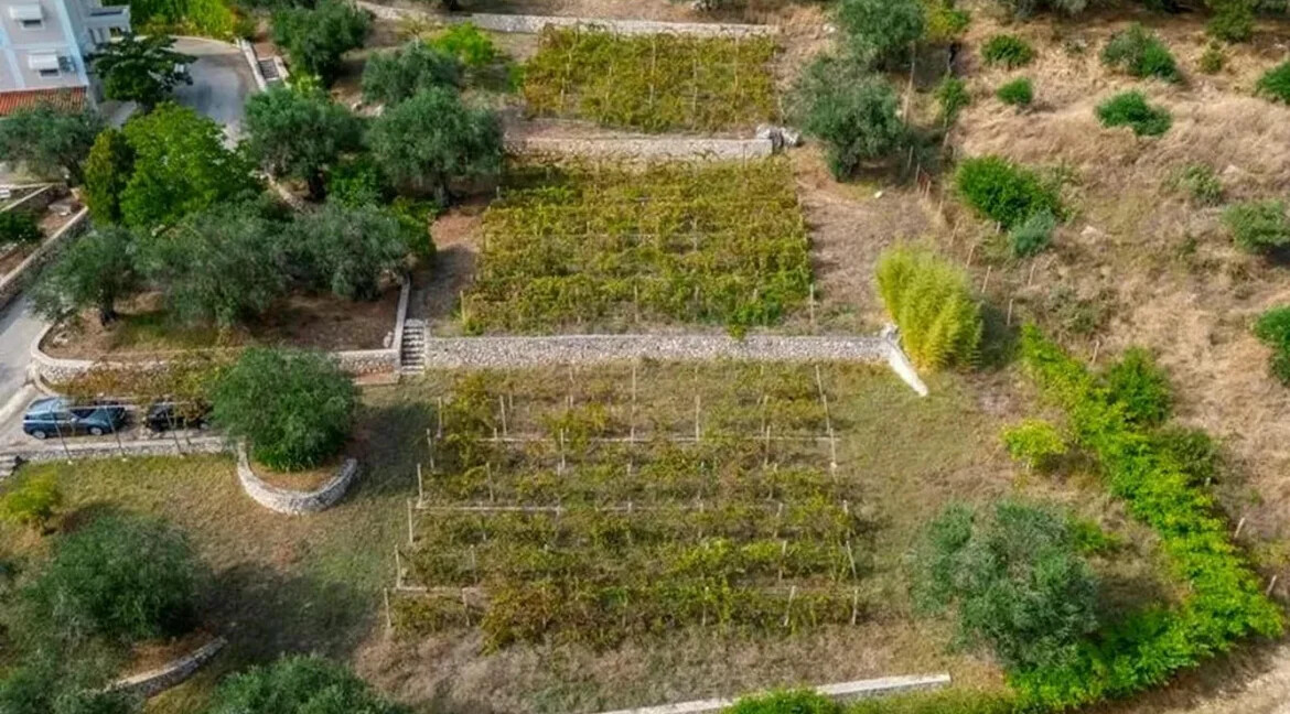 Villa with Big Land Plot for Sale at Corfu Greece 9