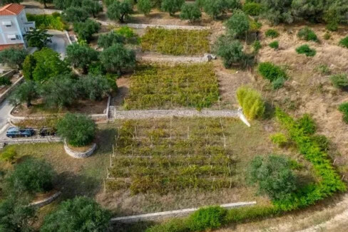 Villa with Big Land Plot for Sale at Corfu Greece 9