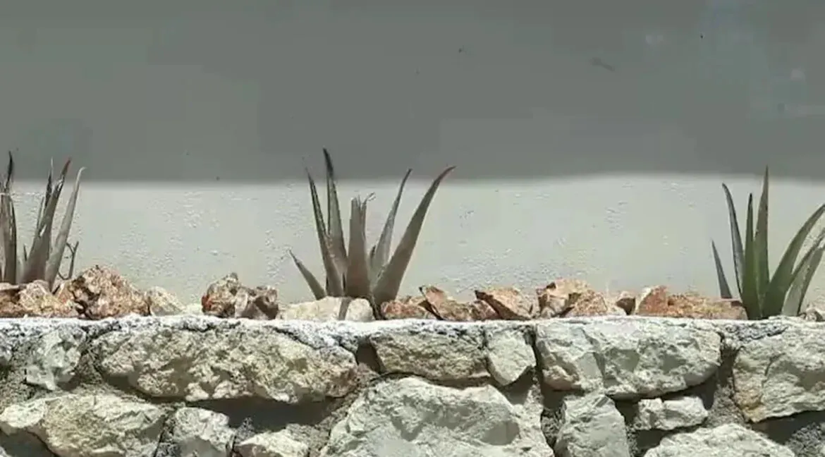 Elegant Sea-View Villa for Sale Zakynthos 4