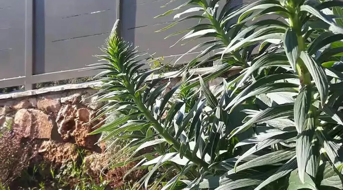 Elegant Sea-View Villa for Sale Zakynthos 5