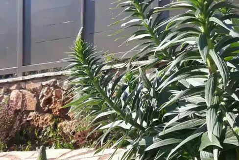 Elegant Sea-View Villa for Sale Zakynthos 5