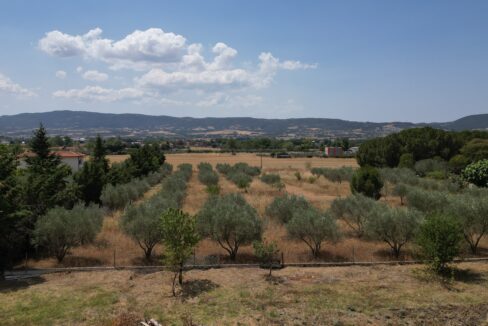 FRONT WINDOW VIEW