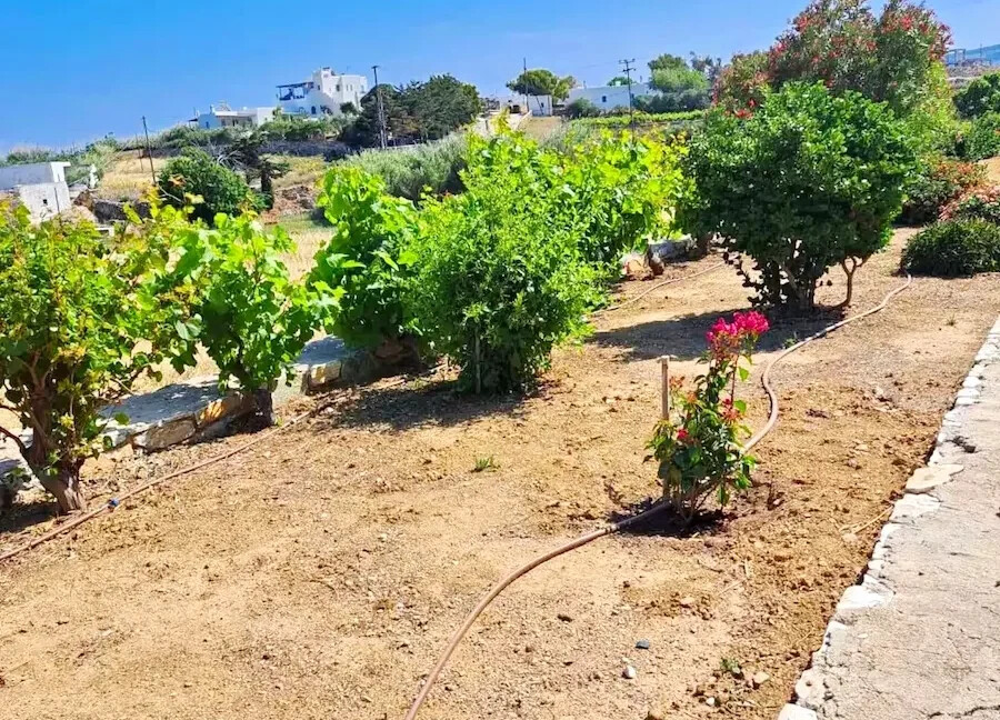 Luxury Villa for Sale in Paros Cyclades 1